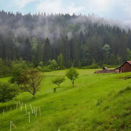 Haus Am Kaltenbach * 엔즈클로슈테르레