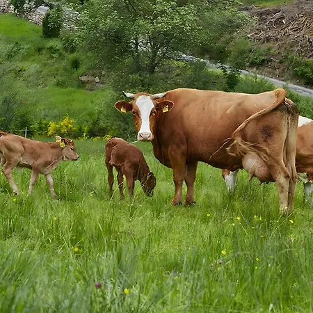 Haus Am Kaltenbach * 엔즈클로슈테르레